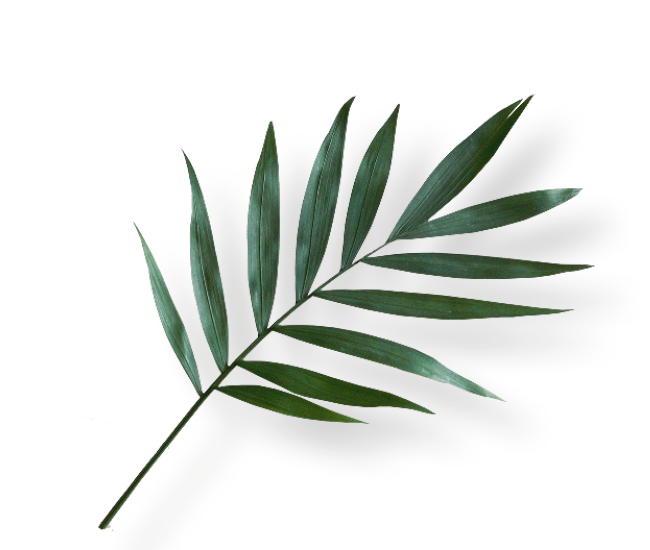 Vrijstaand beeld blad